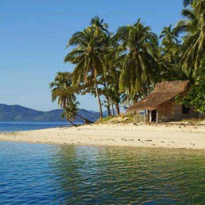 澳门精准正版资料大全手机app下载